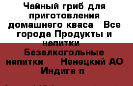 Чайный гриб для приготовления домашнего кваса - Все города Продукты и напитки » Безалкогольные напитки   . Ненецкий АО,Индига п.